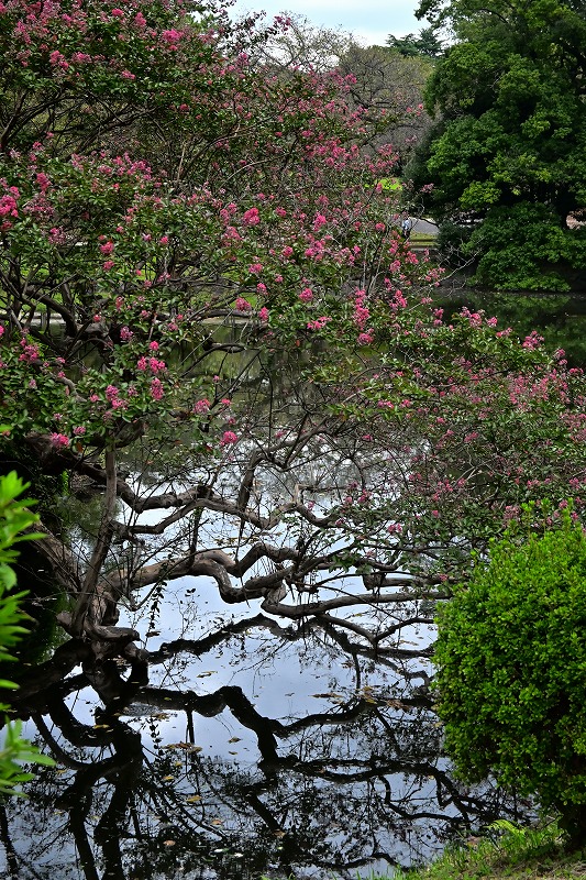 f:id:chuokurashinet:20211001081110j:plain