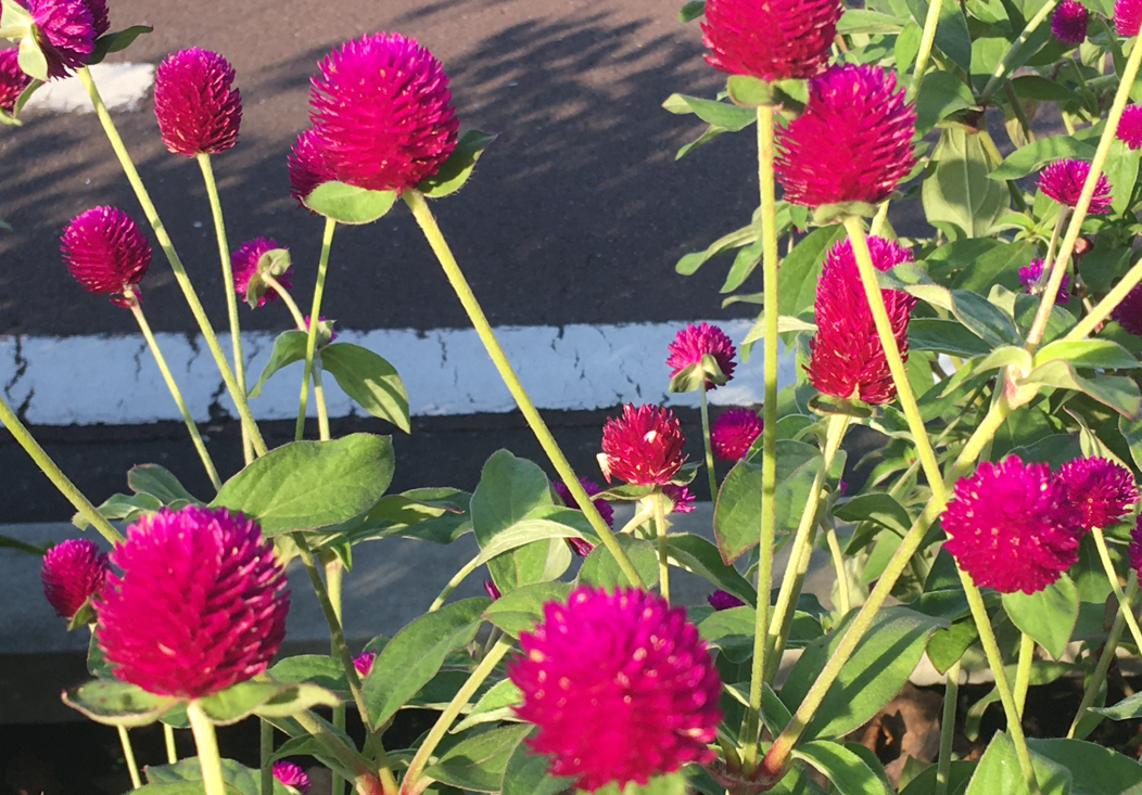 f:id:chuokurashinet:20211005110021p:plain