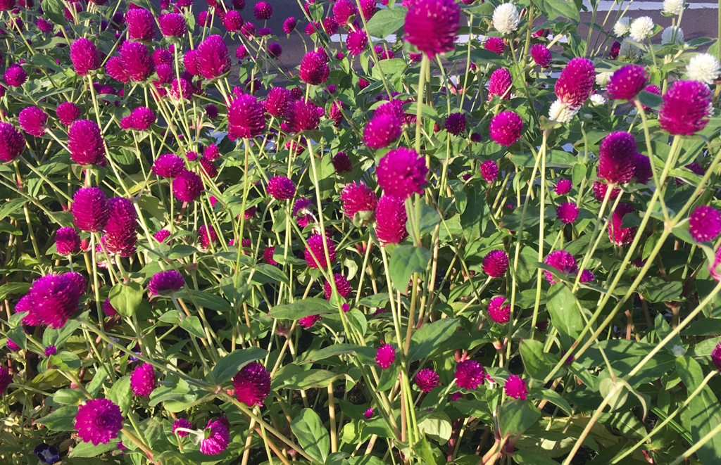 f:id:chuokurashinet:20211005110112p:plain