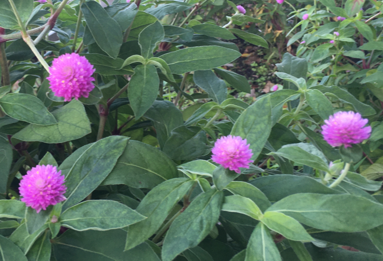 f:id:chuokurashinet:20211005110408p:plain