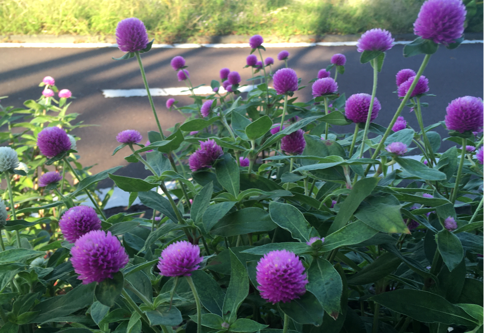 f:id:chuokurashinet:20211005110513p:plain