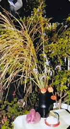 f:id:chuokurashinet:20211011104708p:plain