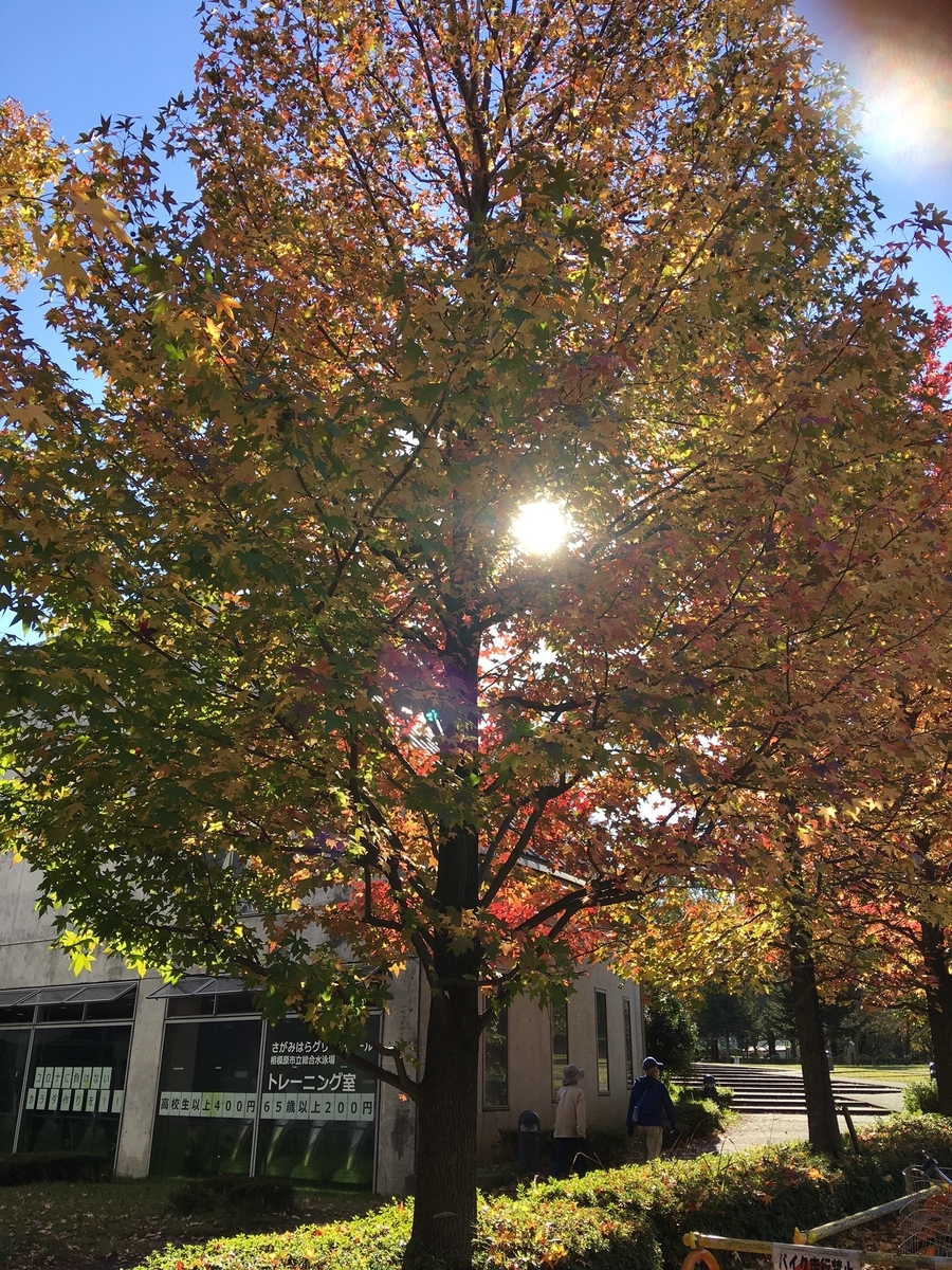 f:id:chuokurashinet:20211111153137j:plain