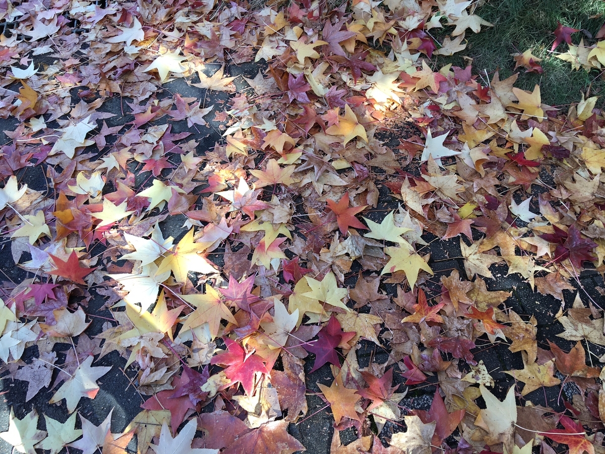 f:id:chuokurashinet:20211111153159j:plain