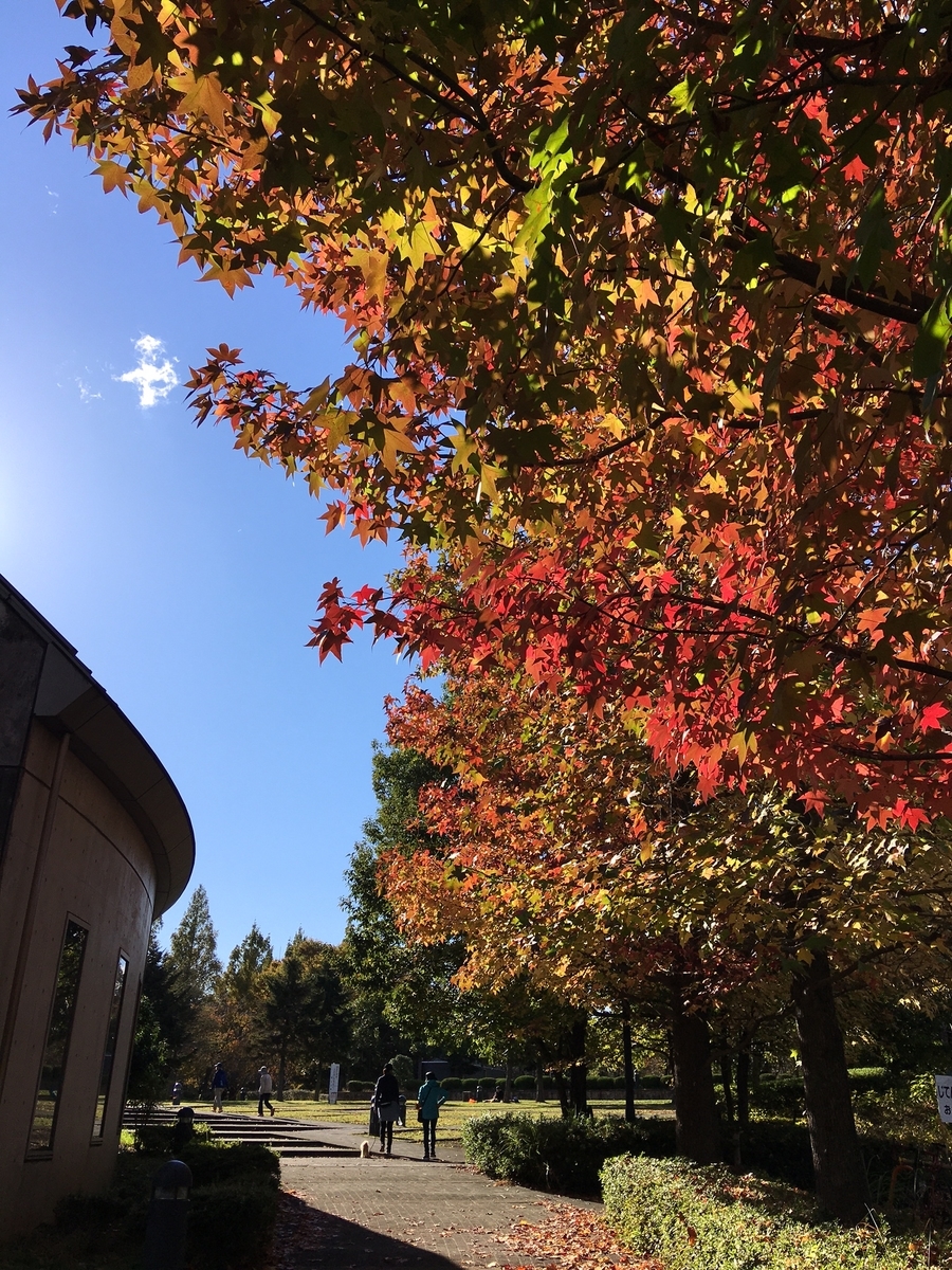 f:id:chuokurashinet:20211111153227j:plain