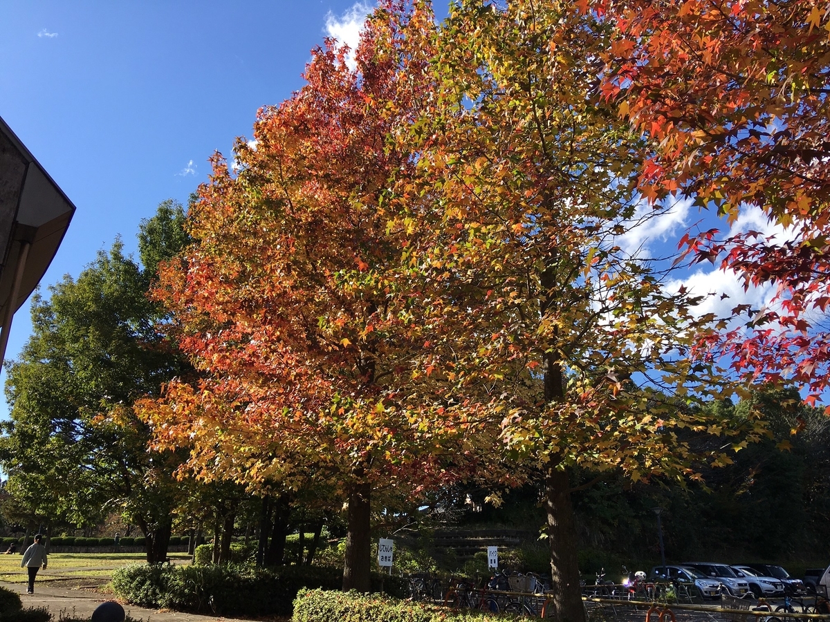 f:id:chuokurashinet:20211111153249j:plain