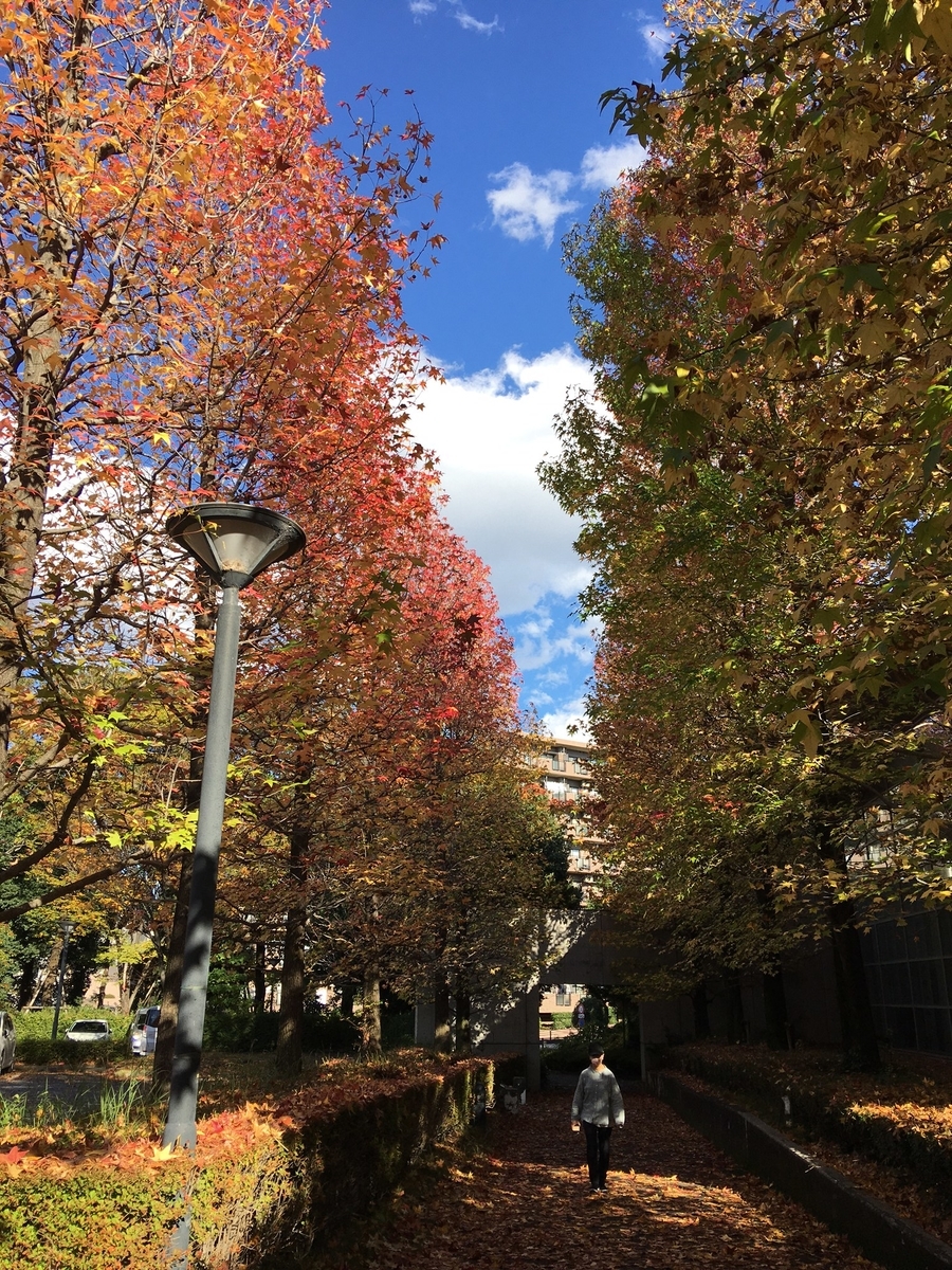 f:id:chuokurashinet:20211111153314j:plain