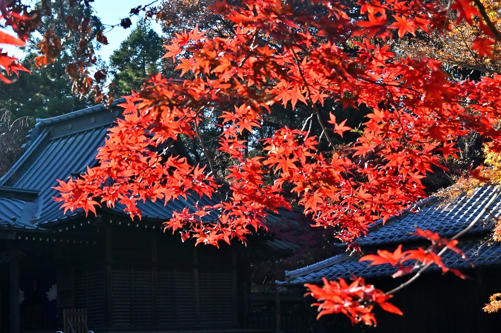 f:id:chuokurashinet:20211126120708j:plain