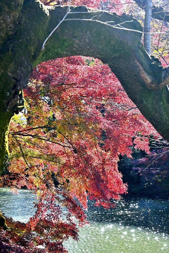 f:id:chuokurashinet:20211128071955j:plain