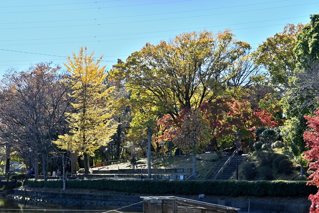 f:id:chuokurashinet:20211201114537j:plain