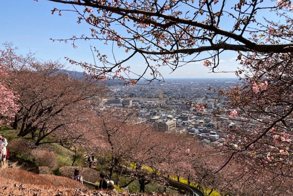 f:id:chuokurashinet:20220227102218p:plain