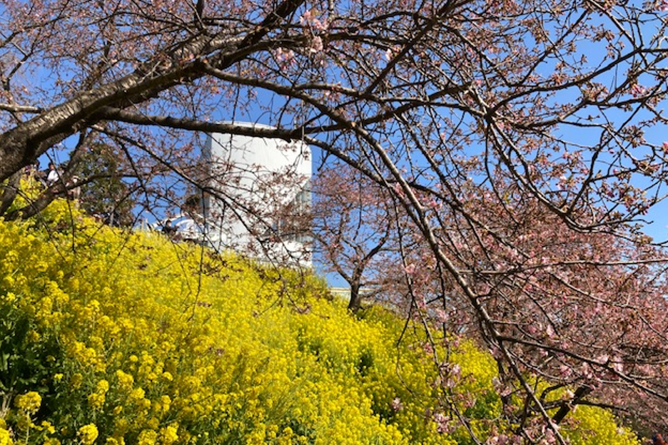 f:id:chuokurashinet:20220227102352p:plain