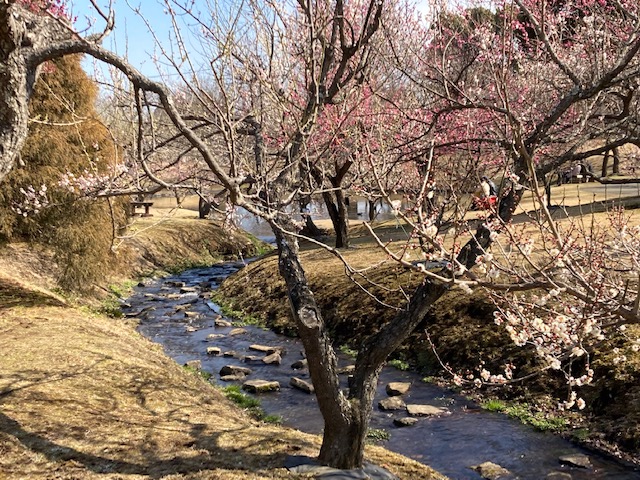 f:id:chuokurashinet:20220301120919j:plain