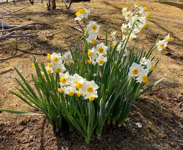 f:id:chuokurashinet:20220301121131p:plain