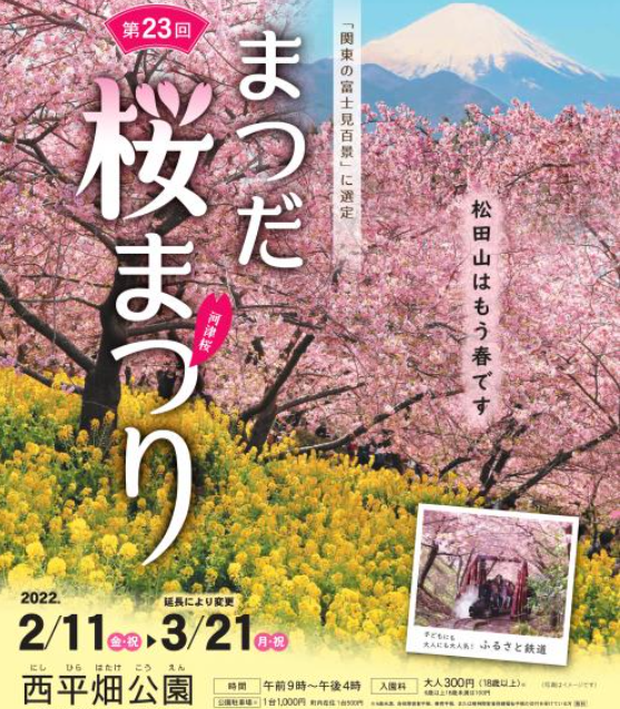 f:id:chuokurashinet:20220309170702p:plain