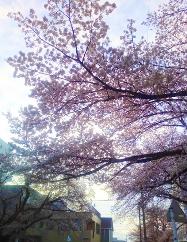 f:id:chuokurashinet:20220327074155p:plain