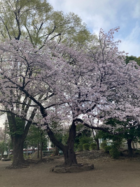 f:id:chuokurashinet:20220331093500j:plain