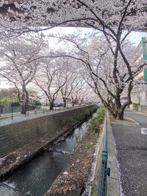 f:id:chuokurashinet:20220331102528j:plain