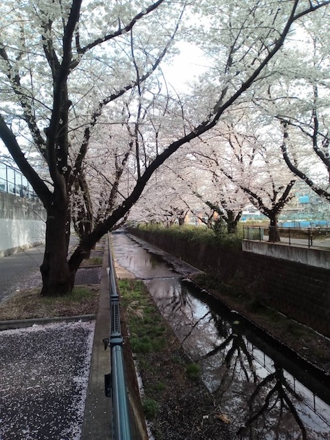 f:id:chuokurashinet:20220331102551j:plain