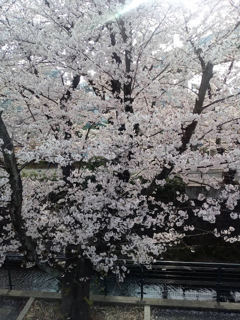 f:id:chuokurashinet:20220331102609j:plain