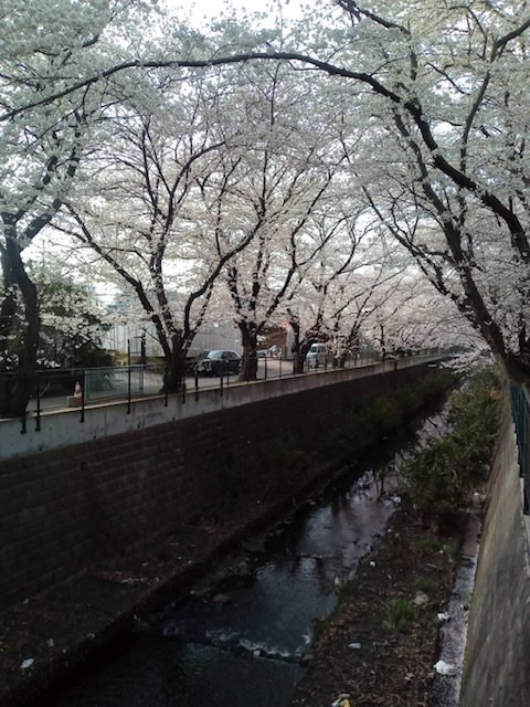 f:id:chuokurashinet:20220331102632j:plain