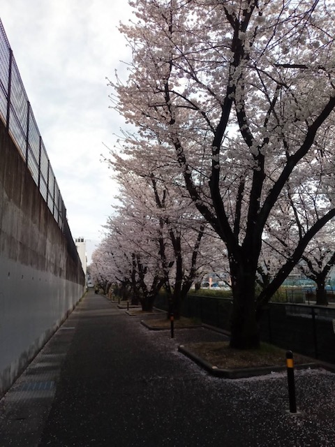 f:id:chuokurashinet:20220331102650j:plain