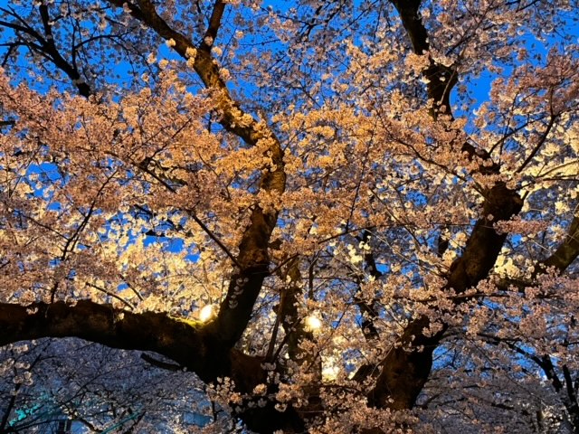 f:id:chuokurashinet:20220331214703j:plain