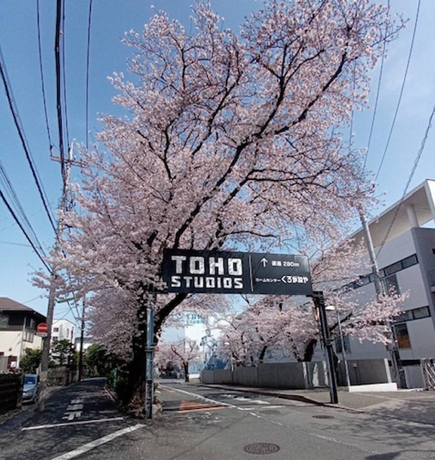 f:id:chuokurashinet:20220401114027p:plain