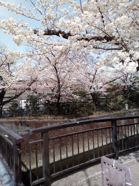 f:id:chuokurashinet:20220401114319j:plain
