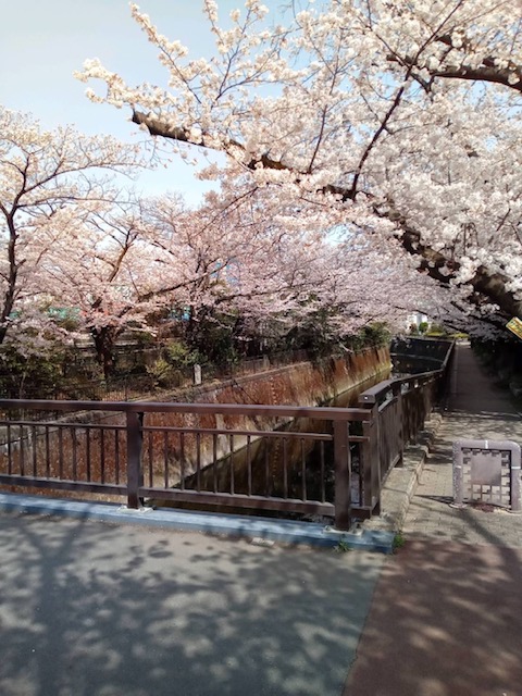 f:id:chuokurashinet:20220401114432j:plain