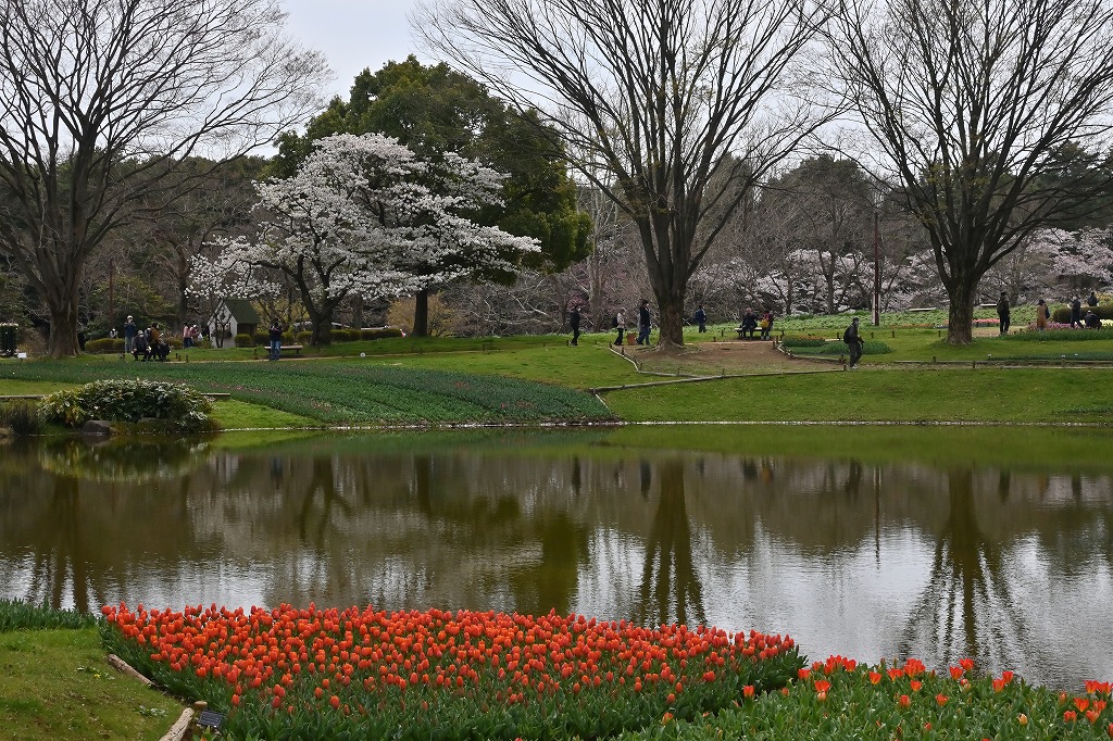 f:id:chuokurashinet:20220403101317j:plain