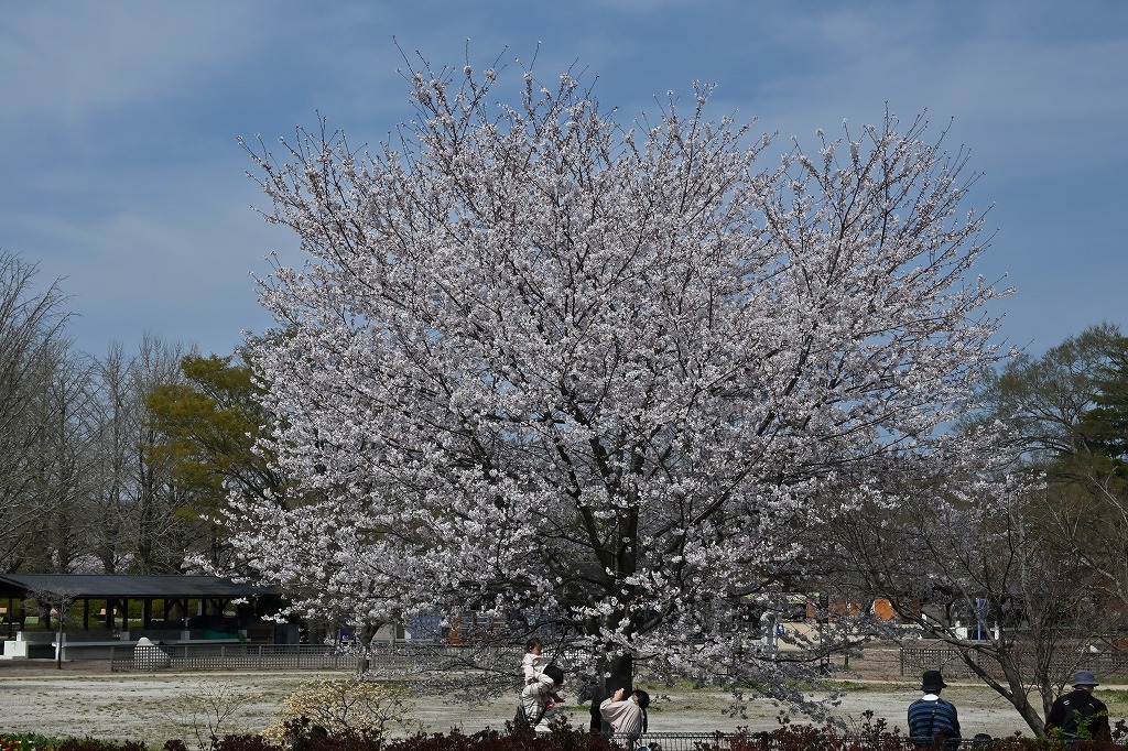 f:id:chuokurashinet:20220403101358j:plain