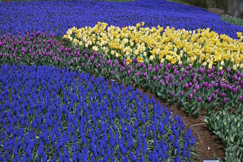 f:id:chuokurashinet:20220403101433j:plain