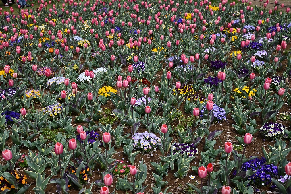 f:id:chuokurashinet:20220403101525j:plain