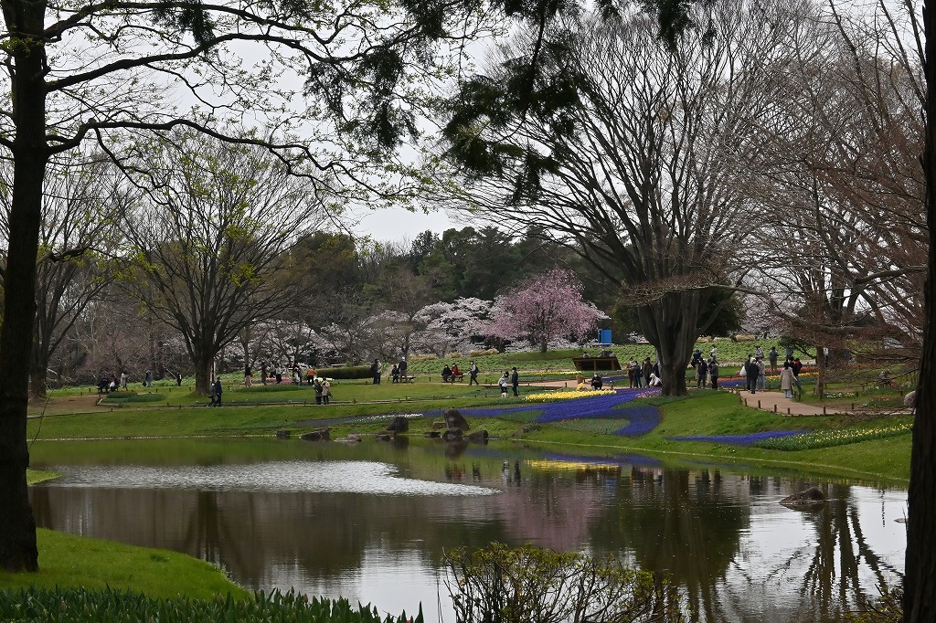 f:id:chuokurashinet:20220403101625j:plain