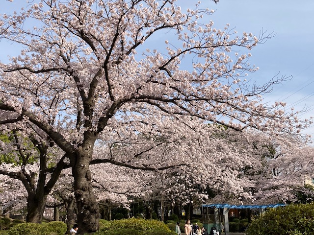 f:id:chuokurashinet:20220403103034j:plain