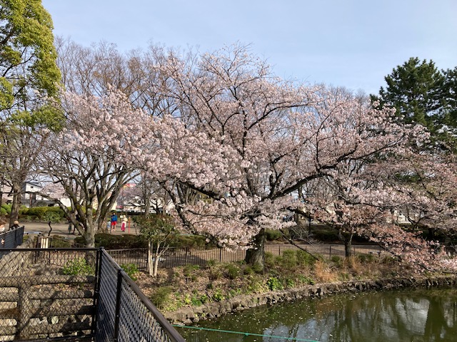 f:id:chuokurashinet:20220403103110j:plain