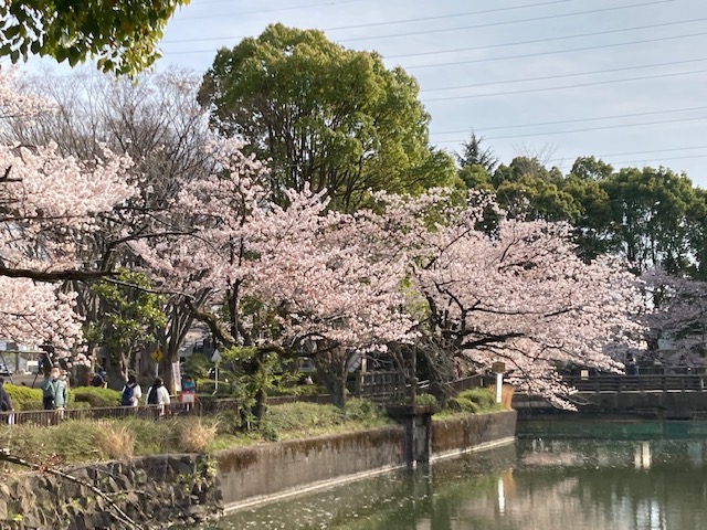 f:id:chuokurashinet:20220403103142j:plain