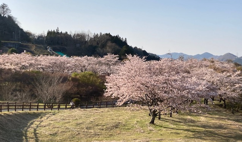 f:id:chuokurashinet:20220410080528p:plain