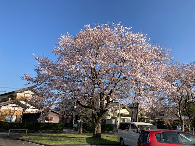 f:id:chuokurashinet:20220410080945j:plain