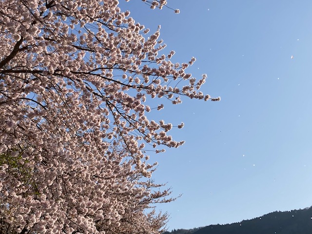 f:id:chuokurashinet:20220410081036j:plain