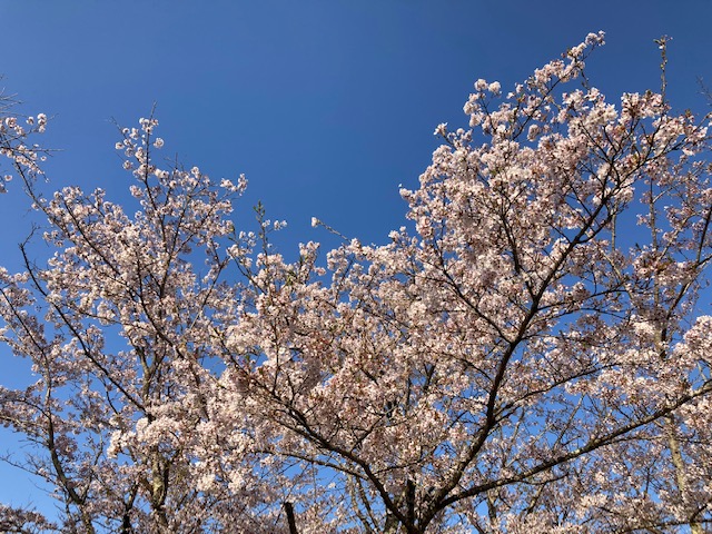 f:id:chuokurashinet:20220410081104j:plain