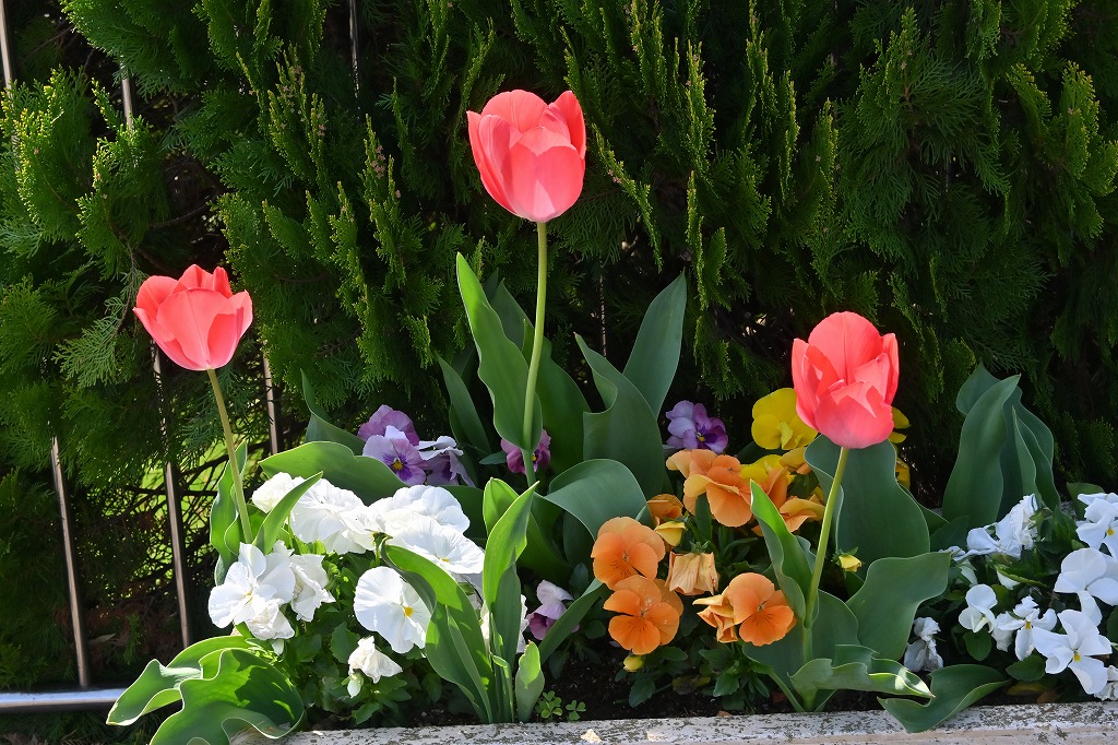 f:id:chuokurashinet:20220411090301j:plain