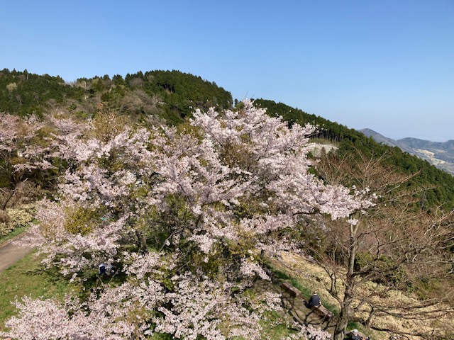 f:id:chuokurashinet:20220412075033j:plain