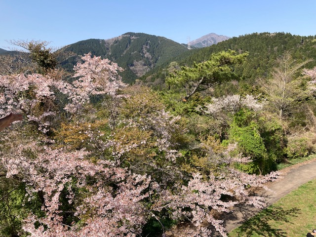 f:id:chuokurashinet:20220412075051j:plain