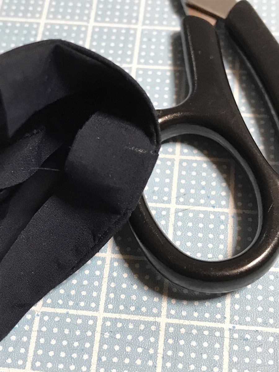 f:id:chupacabraufo:20201031010621j:plain