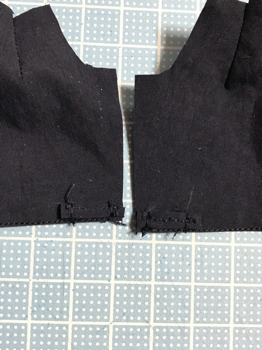 f:id:chupacabraufo:20201031012059j:plain