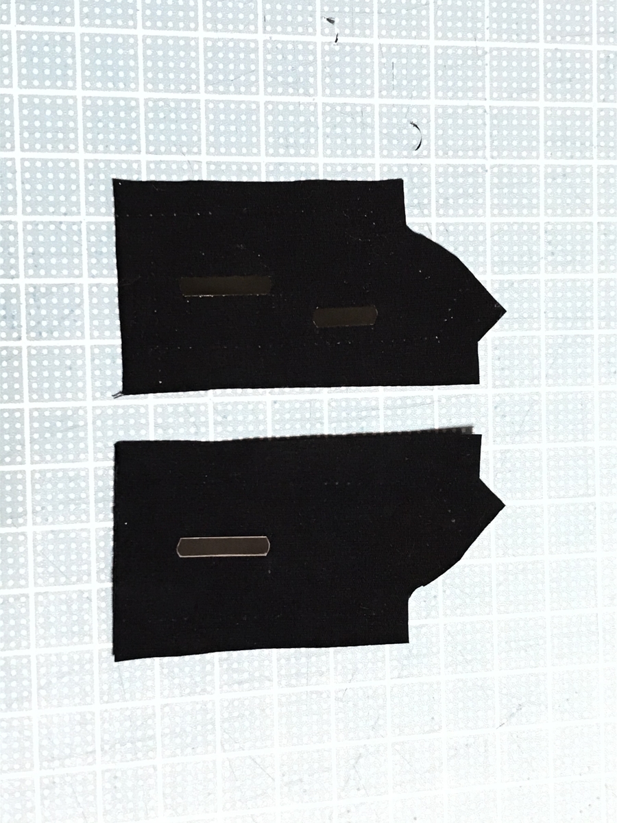 f:id:chupacabraufo:20201031012256j:plain