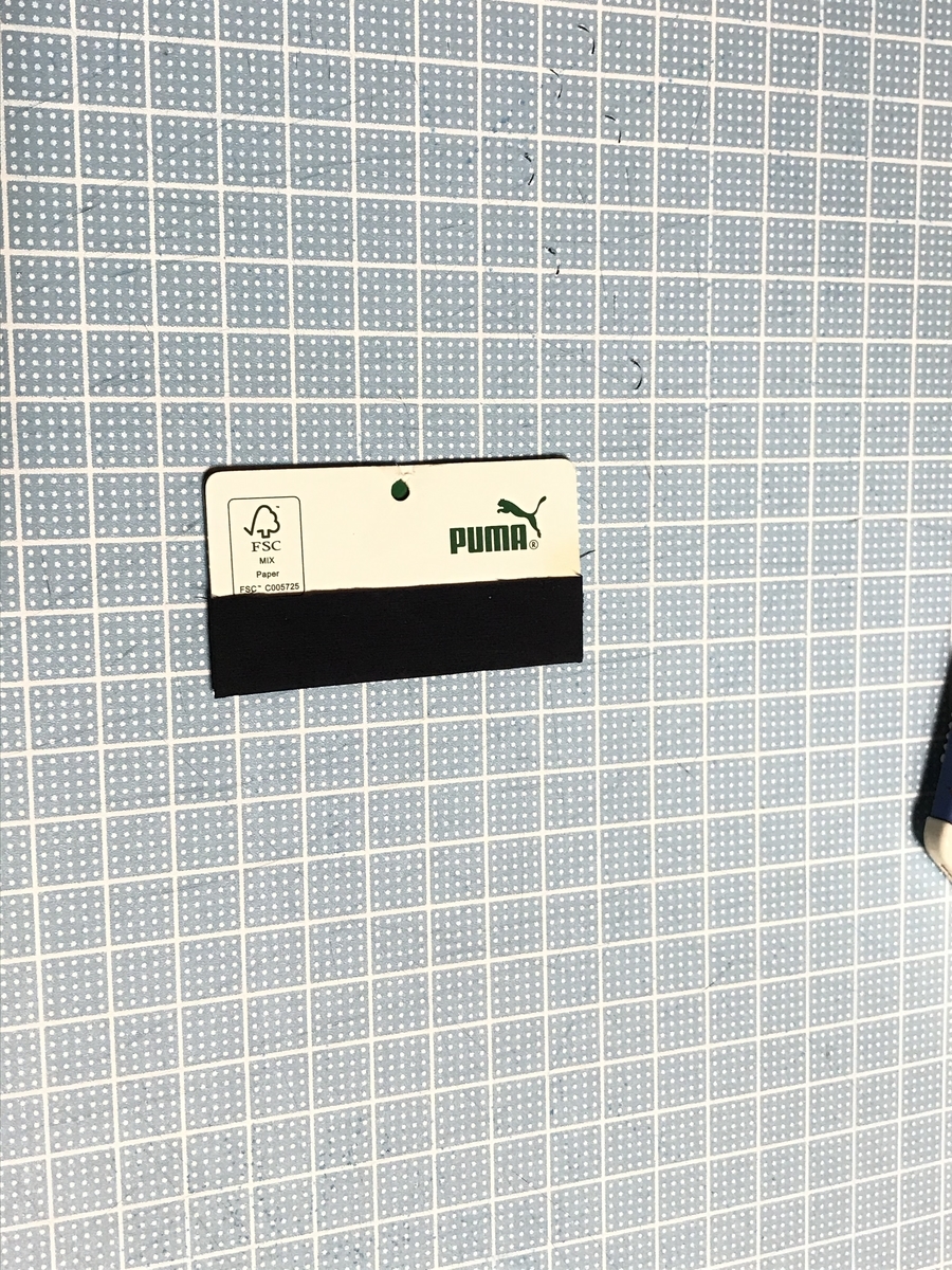 f:id:chupacabraufo:20201031195401j:plain