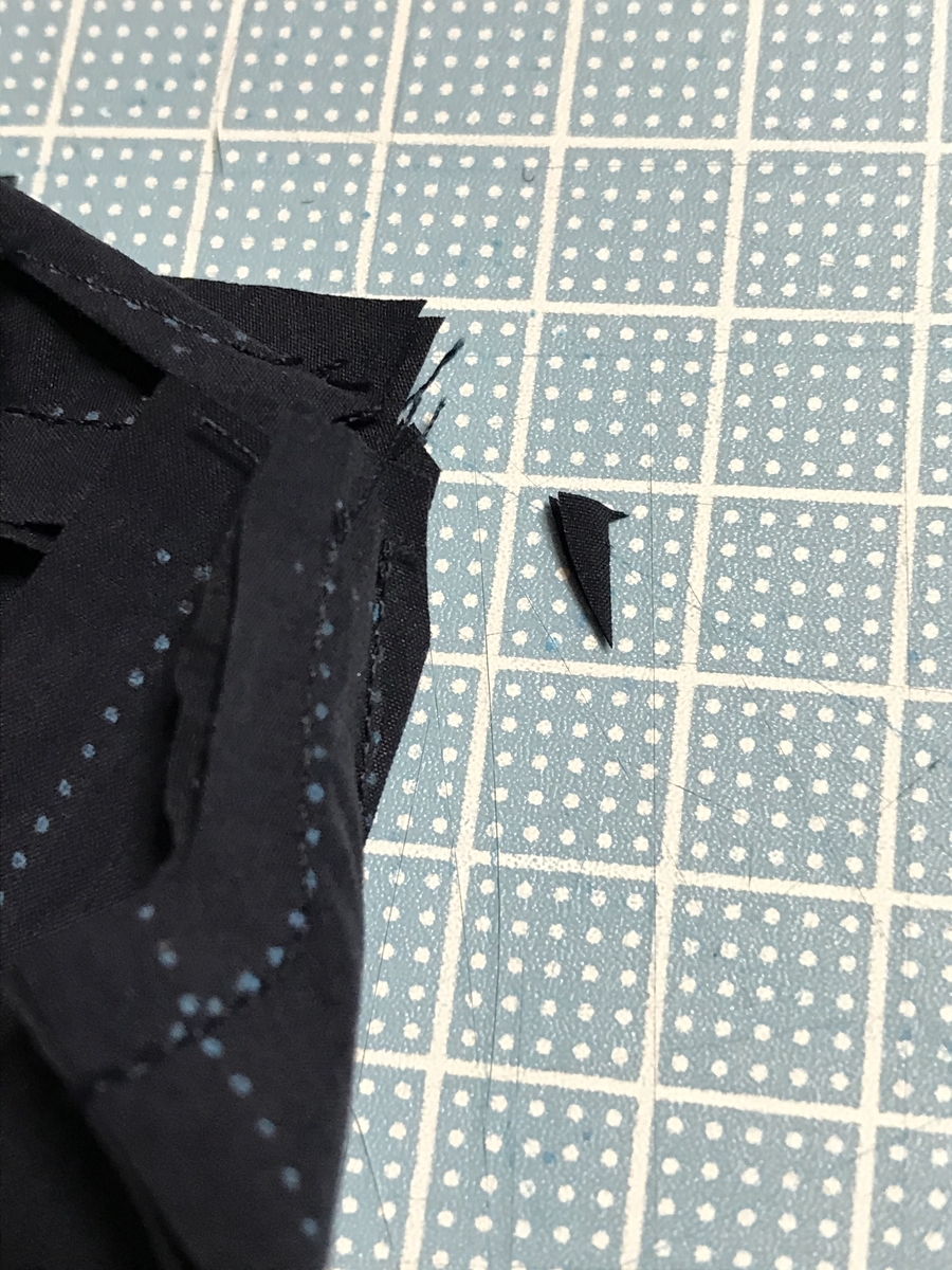 f:id:chupacabraufo:20201031200012j:plain